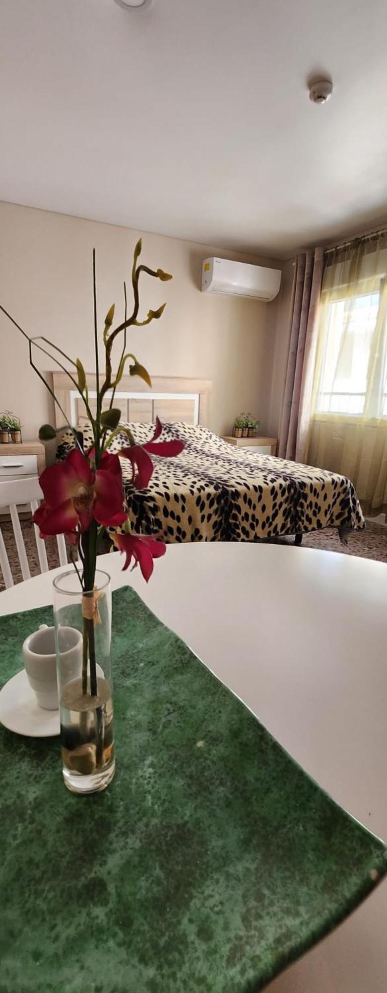 Apartamentos Belladorm Benidorm Extérieur photo